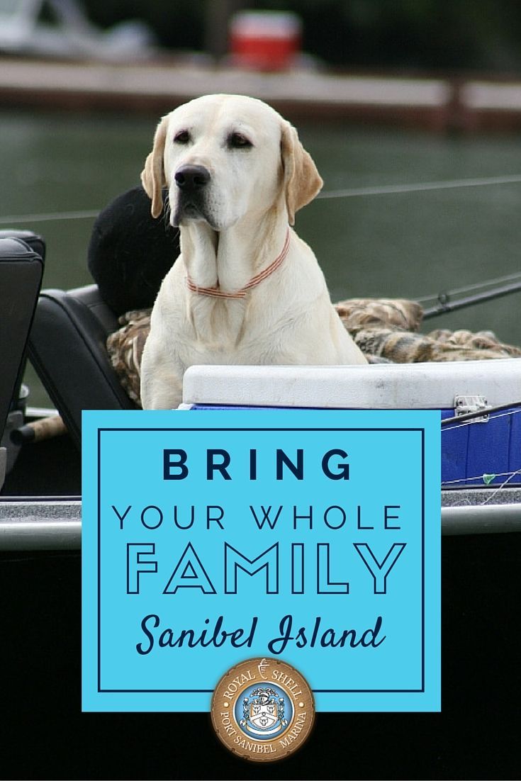 Dog with sign saying Bring Your Whole Family Sanibel Island